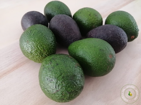 9 Hass Avocados from